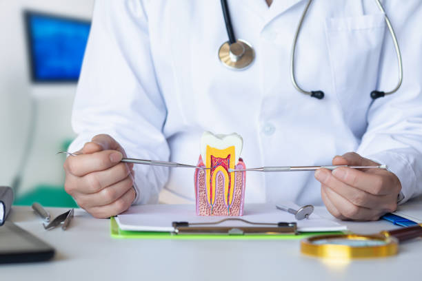 Best Broken or Cracked Tooth Emergency Dentist in Richmond, MI
